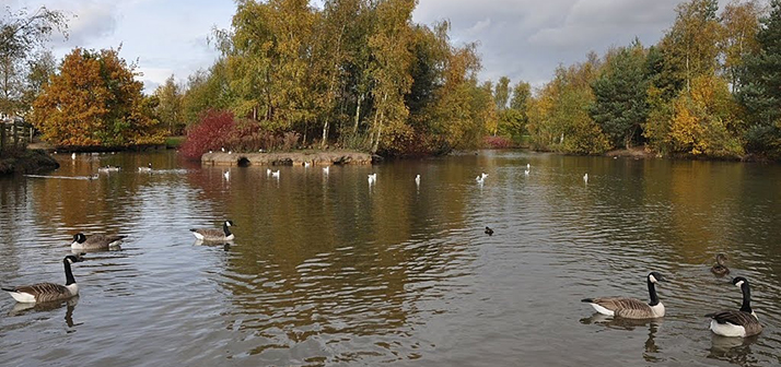 Chance for family fun at Whittle Hall Environment Day